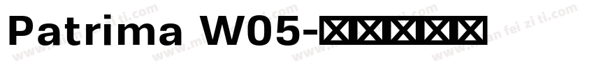 Patrima W05字体转换